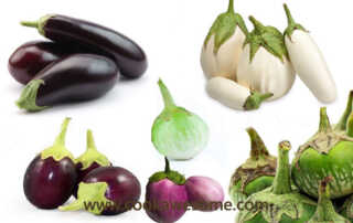 Aubergine, Eggplants, Vegetable