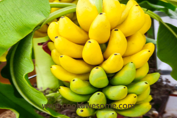 Advantages of Banana