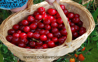 Tart Cherries
