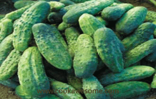 miniature cucumbers