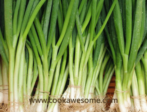 Green Onions – Nutrients Filled Veggie