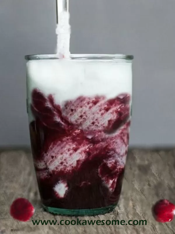 Milkshake Recipe