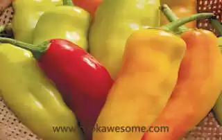 Hungarian Wax Pepper