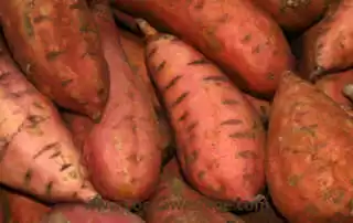 headvantages of sweet potatoes