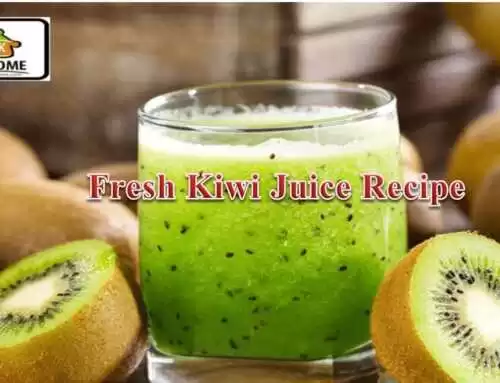 Fresh Kiwi Juice Recipe